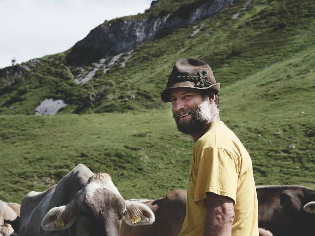 Alpine shepherd with cows on the Arlberg mountain pasture