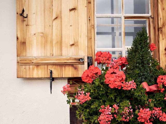 Wooden shutter with red geraniums