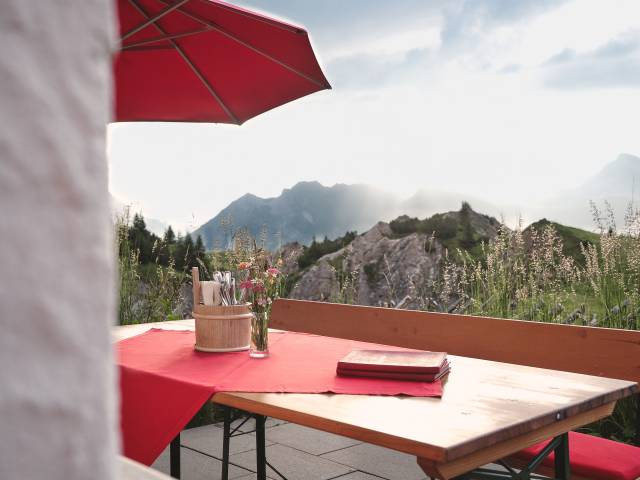 Sun terrace with a view of the Alps